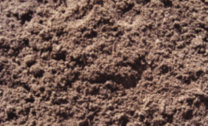 Topsoil